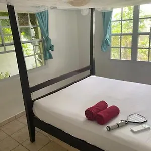 Guest house Akunamatata, Grand Case